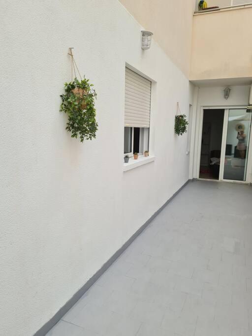 تورّيفيِخا Beautiful Apartment With Patio المظهر الخارجي الصورة